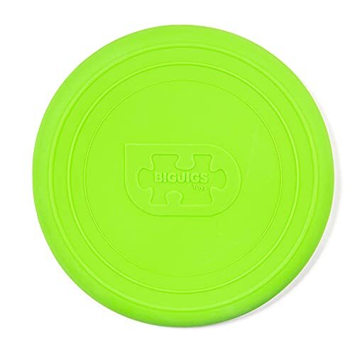 Bigjigs Toys Frisbee Flying Disc Strandspeelgoed - Weide Groen