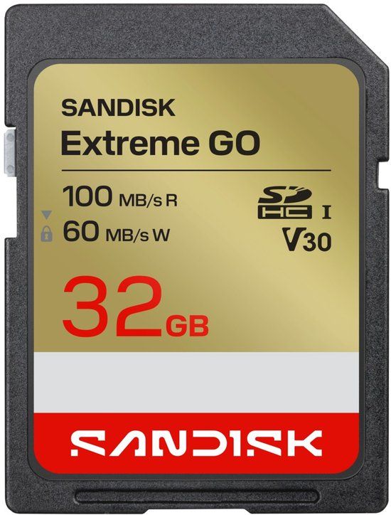 SanDisk Extreme GO 32 GB SDHC UHS-I