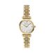 Emporio Armani Vrouwen Horloge 28 mm Goudkleurig