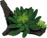 Repto Plant Succulent On Deco 10 x 13 x 8 cm kunstplant voor terrarium