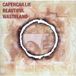Beautiful Capercaillie Beautiful Wasteland