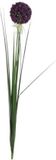 Mica Decorations Kunstbloemen - Allium bol bloem - sierui - paars - 80 cm - steelbloemen