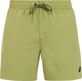 Protest Faster Short de bain Hommes - Fern Green - Taille XL