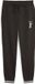 Puma SQUAD SWEATPANTS FL CL Trainingsbroek