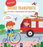 CARUNO YOYO BOOKS Środki transportu. Dlaczego? pytania i odpowiedzi dla maluchów - Opracowanie zbiorowe - boek in het Pools