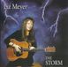 Sonic Rendezvous Liz Meyer - The Storm (CD)