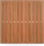 Intergard Schutting hardhout tuinscherm recht 180x180cm