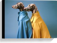 Merkloos / Sans marque Canvas Twee Duitse Dog Honden in Gele en Blauwe Overhemden - 40x30 cm Foto op Canvas Schilderij