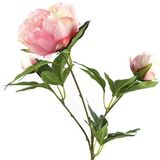 Countryfield Kunstbloem Paeonia roze