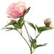 Countryfield Kunstbloem Paeonia roze