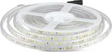 V-tac Led-strip Vt-5050 5 Meter Ip65 9w 500lm 4000k Pvc Wit