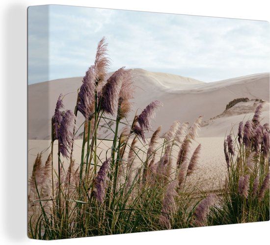 OneMillionCanvasses Canvas schilderij 160x120 cm - Pampasgras - Zand - Planten - Duin - Modern