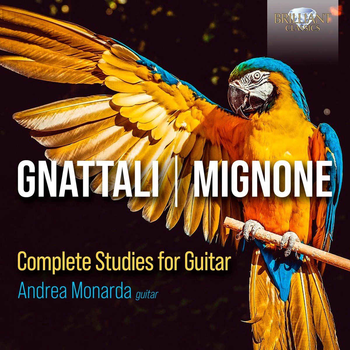Brilliant Classics Gnattali/Mignone: Complete Studies for Guitar