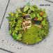 Cityfolk Son Little - Cityfolk (CD)