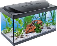 Tetra Aquarium Starter Line LED 54L Zwart