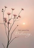 Hallmark Wenskaart Condoleance Bloemen 6 Stuks