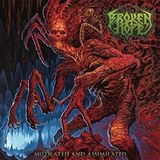 Sonic Rendezvous Broken Hope Mutilated And Assimilated (LP)