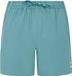 Protest Prtwytona Zwemshort Heren Arctic Green Effen Regular Fit Koordsluiting