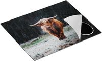 Chefcare Inductie Beschermer Schotse Hooglander bij het Bos - 65x55 cm - Multicolor