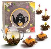 Creano ErblühTee cadeauset in modern bloemendesign met glazen theepot, zwarte thee (6 theerozen / 3 soorten)