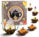 Creano ErblühTee coffret cadeau dans un design floral moderne avec théière en verre, thé noir (6 roses à thé / 3 sortes)