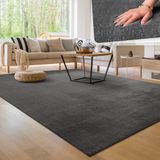 Paco Home Moderne woonkamer tapijt kortpolig wasbaar zacht uni effect bont antislip 80x150 cm