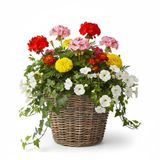 VD Leeden Plantenmand Klassiek - rond - bruin - 25 x 19 cm - rotan