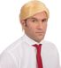 Bristol Novelty Ltd Bristol Novelty Mens Mr President Wig (Blonde)