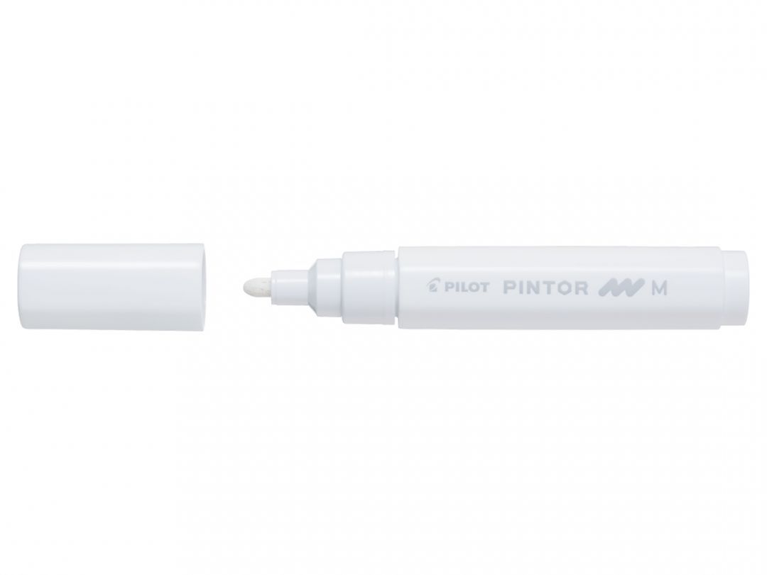 Pilot Pintor - 4902505542022