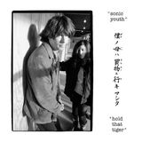 Hold Sonic Youth Hold That Tiger (2 LP)