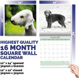 Baker & Bray Bedlington Terrier Kalender 2027