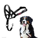 Halti Halster - Om te voorkomen dat uw hond aan de lijn gaat trekken. Verstelbaar, Reflecterend en Licht, met Onderlegde Neusriem. Geschikt voor grote honden (Maat 4, Zwart)