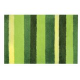 Spirella 10.16977 badmat Lineato 70 x 120 cm, groen