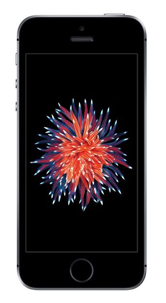 スマートフォン本体 Apple - Apple iphone SE  32GB Apple iPhone SE - Space Gray - 32GB kopen? | Kieskeurig.nl
