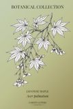 JAPANESE MAPLE Botanical Notebook Featuring Acer palmatum