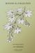 JAPANESE MAPLE Botanical Notebook Featuring Acer palmatum