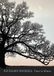 Trees Sphere Trees in Winter Hardcover