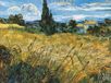 Your Decoration B.V Impression d'art Vincent Van Gogh - Campo di grano 80x60cm