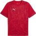 Puma TeamCUP trainingsshirt 659167 - Heren - Maat M - Rood/Zilver/Donkerkersen