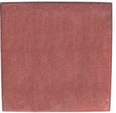 Intergard Betontegels stoeptegels sierbestrating groen 15x30x4,5cm (m2)