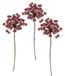 Metallic Dille Metallic Dille met Glitter Beijst Kunsttakken Decoratieve Plant Tak Kerstdecoratie Enkele Bloem Kunstbloemen Kunstbloemen Kunstplant Bloemisterij Tak Metallic Bloesemtak Winterbloem