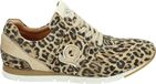 TOMS Carolina Lace Up Beige Synthetisch