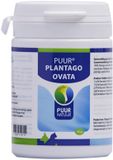 Puur Natuur Plantago Ovata - Supplement - 35 g
