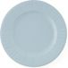Givi Italia Feestbordjes/BBQ bordjes - 8x - lichtblauw - rond - papier/karton - 27cm - biologisch afbreekbaar - groot