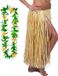 Hawaii jupe et guirlande de fleurs - Adultes - naturel - fête à thème tropical - hula