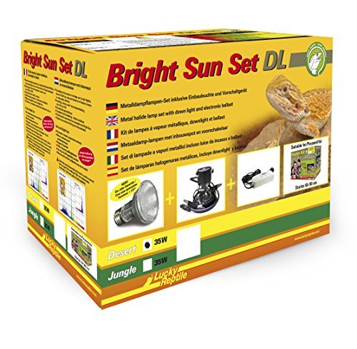 Lucky reptile BSSDL Bright Sun Set DL Desert 35 W, Wit