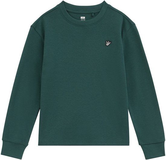 WE Fashion Jongens T-shirt Lange Mouw Groen Katoen Maat 158/164