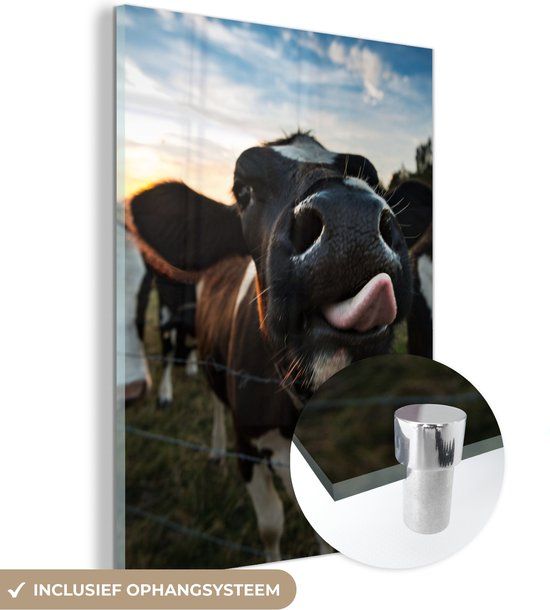 MuchoWow® Glass Painting 120x160 cm - Acrylic Glass Painting - Cow - Animals - Nature - Tongue Out - Photo on Glass - Paintings