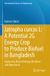 Jatropha Springer Nature Environmental Science and Engineering- Jatropha curcas L: A Potential 2G Energy Crop to Produce Biofuel in Bangladesh