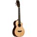 Kala Contour All Solid Spruce Rosewood Ténor Ukulélé avec Housse